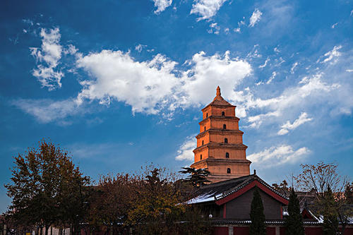 賞曲江美景，體驗中國年