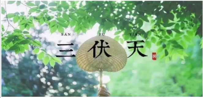 “三伏”駕到，科學(xué)防暑